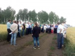 Выездной семинар в Болотнинском  районе по подготовке к уборке урожая  2019  года.