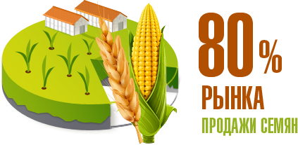 80% рынка продажи семян кукурузы